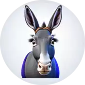 A donkey