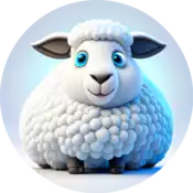 A sheep