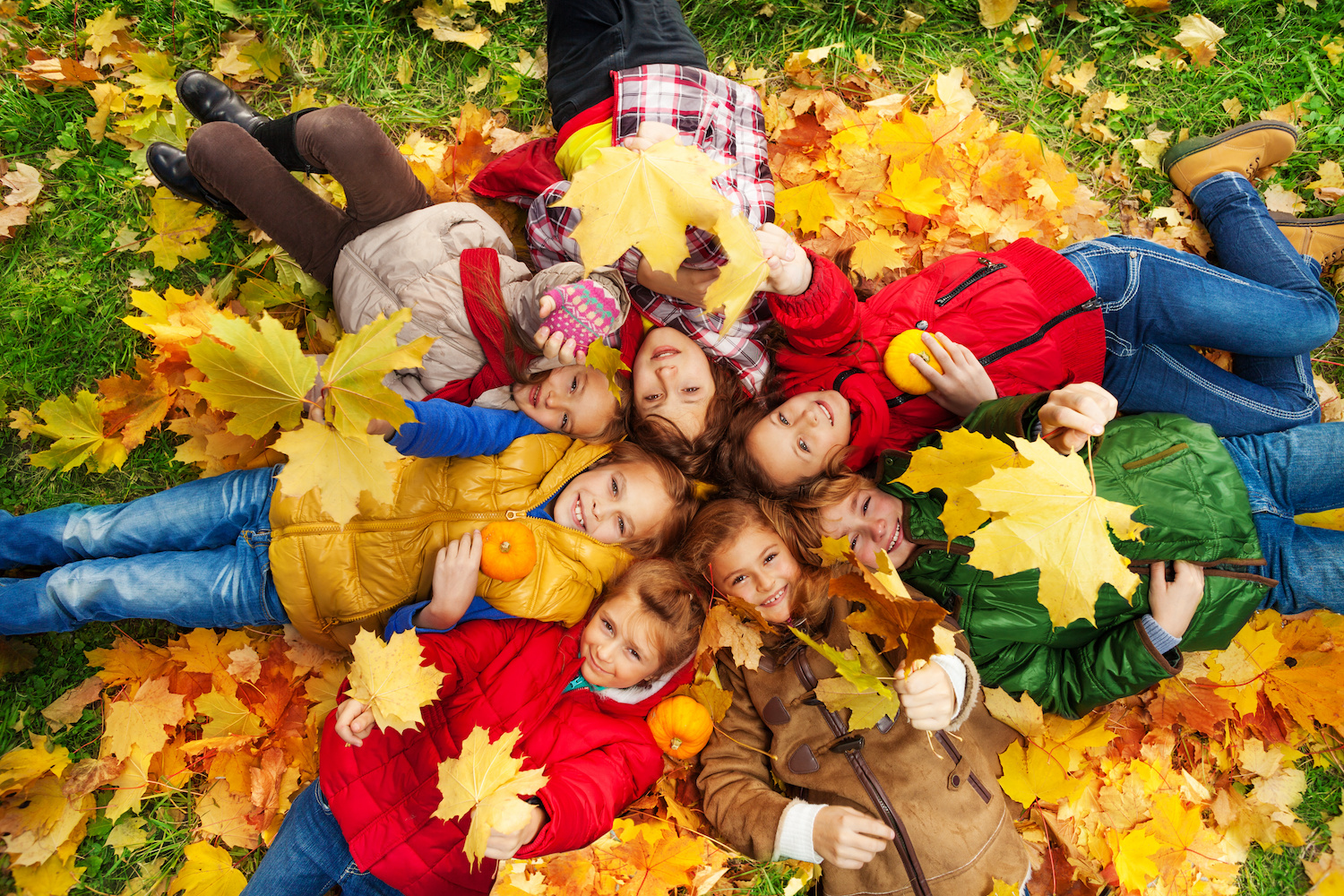 Large group of kids, friends, boys and girls laying in the grass with maple leaves all over them on autumn day